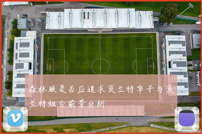 森林狼是否应追求莫兰特华子与莫兰特组合前景分析