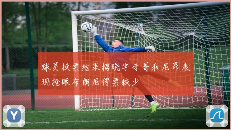 球员投票结果揭晓字母哥和尼昂表现抢眼布朗尼得票较少