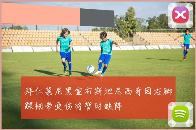 拜仁慕尼黑宣布斯坦尼西奇因右脚踝韧带受伤将暂时缺阵
